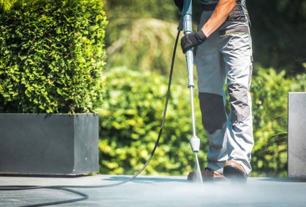 Trusted Metropolis, IL Pressure Washing Services Experts