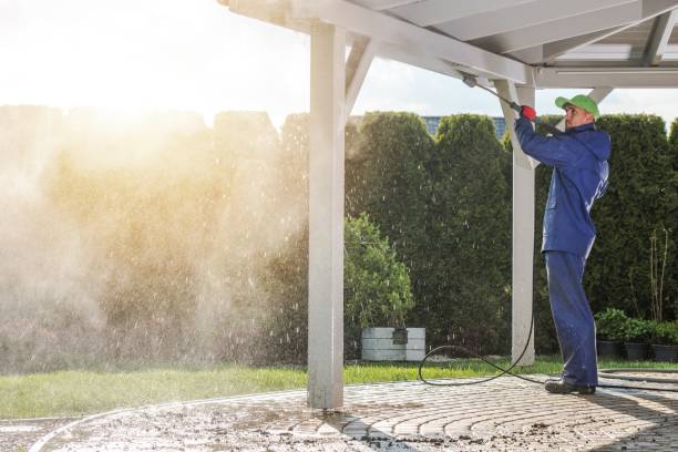 Best Solar Panel Cleaning  in Metropolis, IL